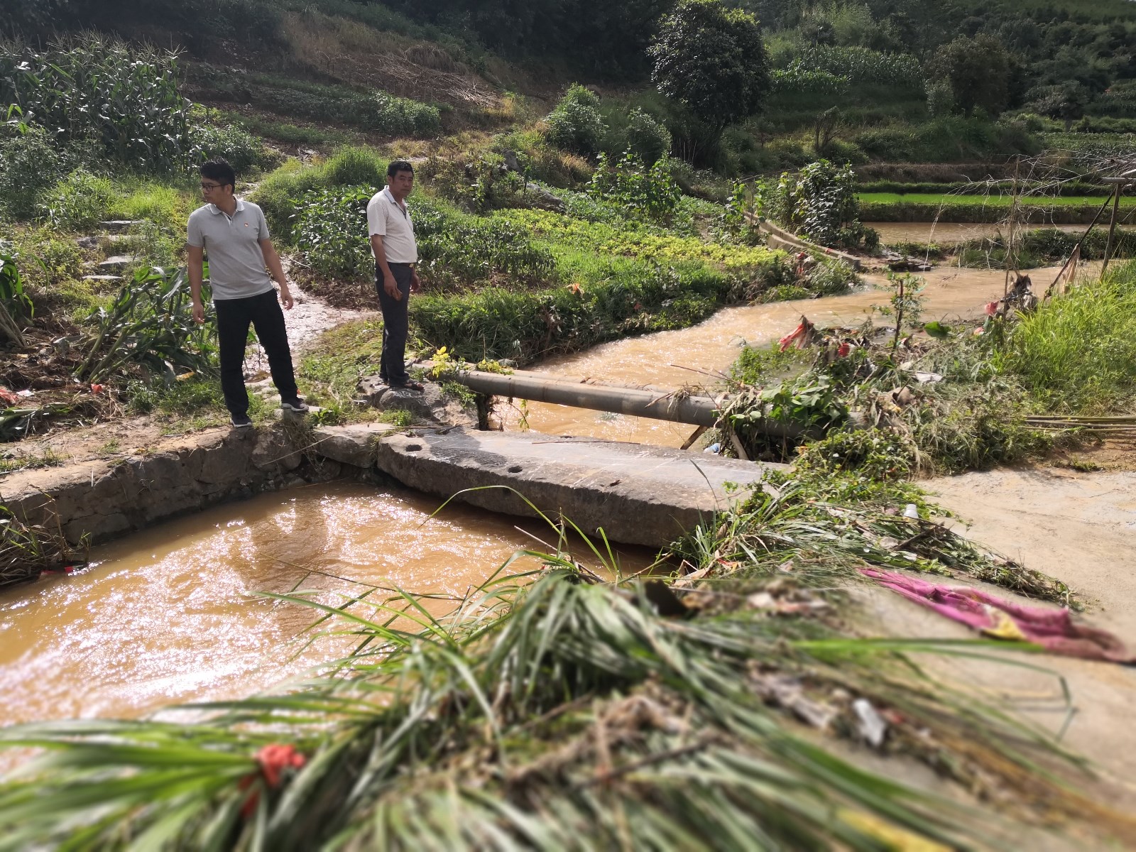 15-图为东江水务公司紫溪村驻村第一书记李文成(左一)走访了解大雨对村中农业生产影响.jpg 15-图为东江水务公司紫溪村驻村第一书记李文成(左一)走访了解大雨对村中农业生产影响.jpg