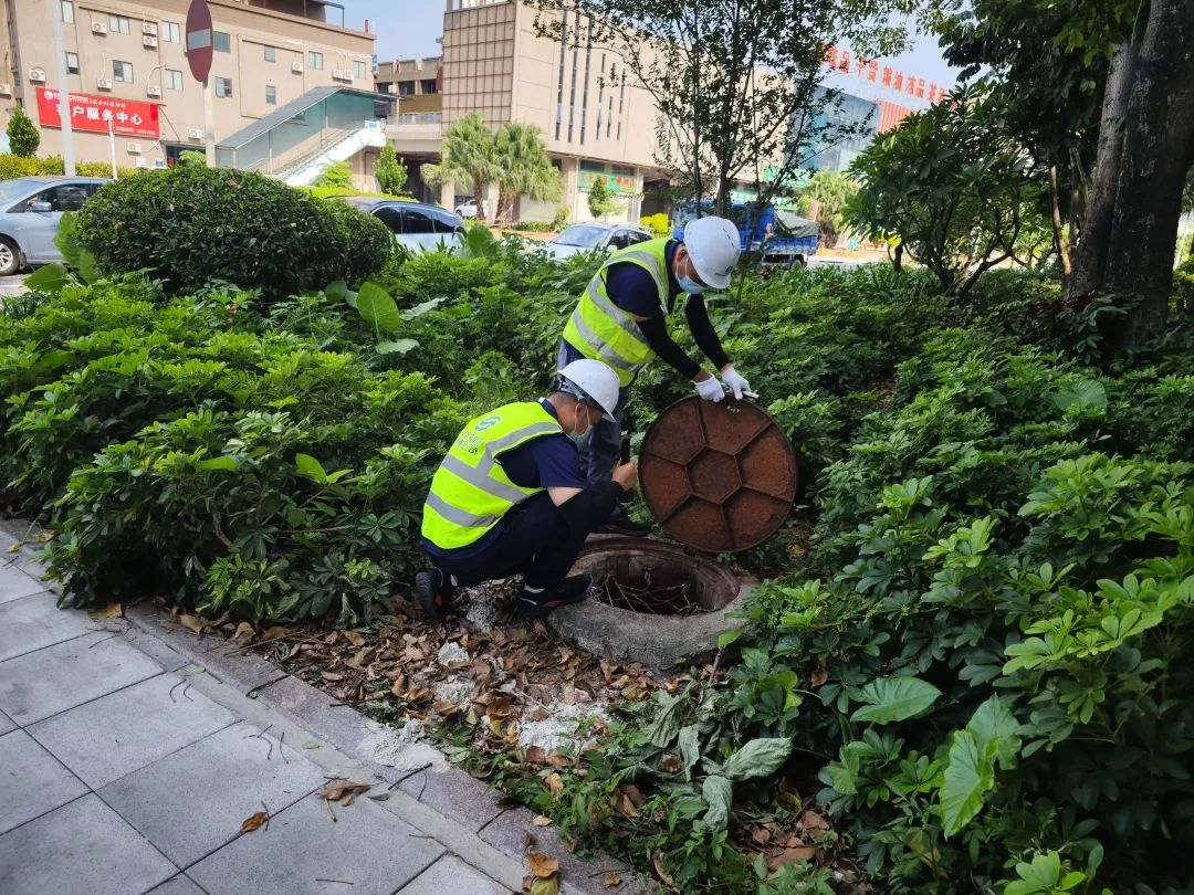 图片 8.png 图片 8.png