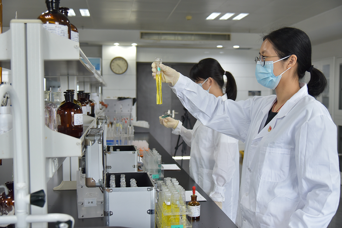 科技发展板块（科技公司）