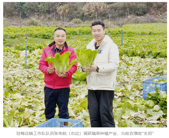 1693559089188.png 1693559089188.png