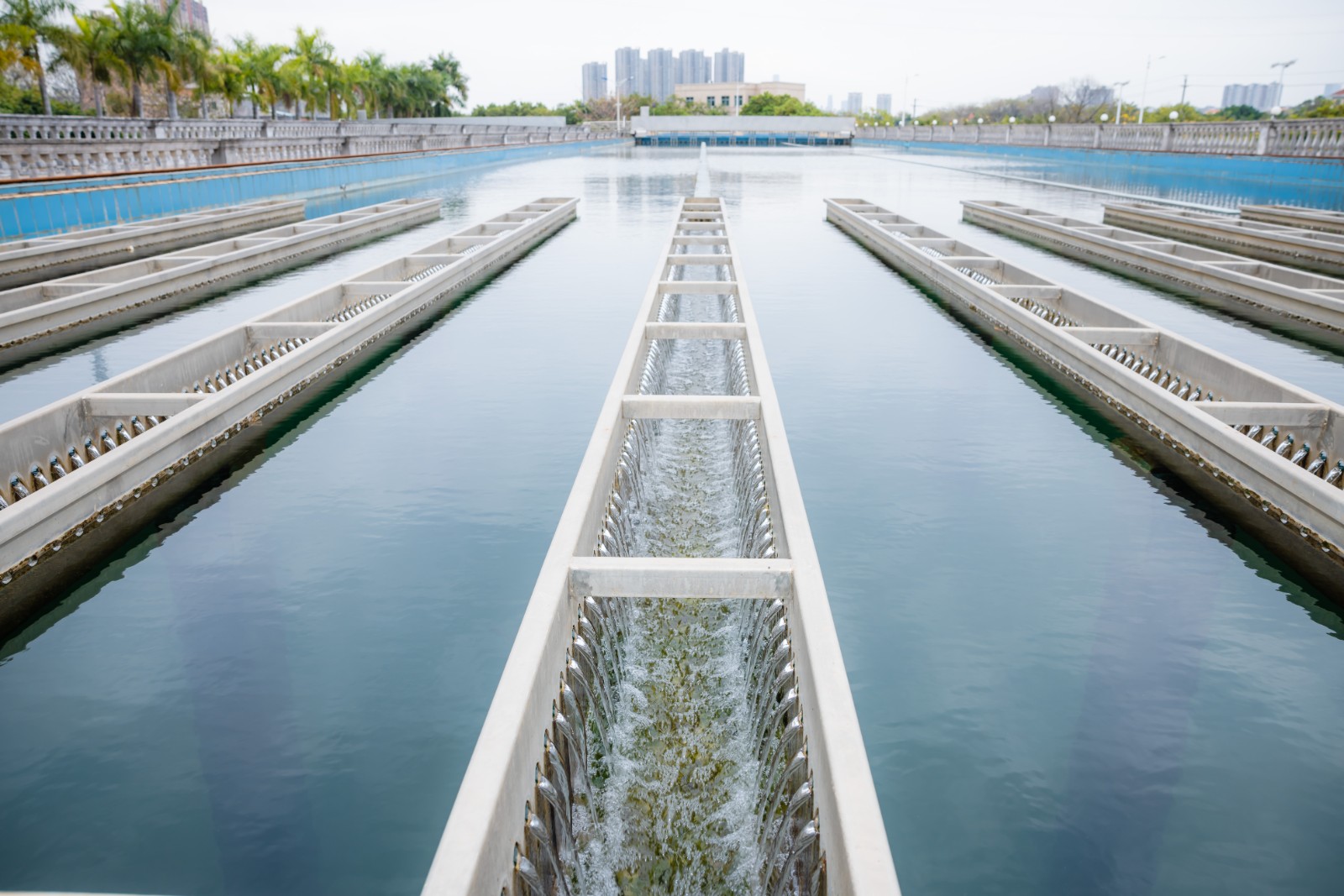 BJ8A5316.jpg BJ8A5316.jpg